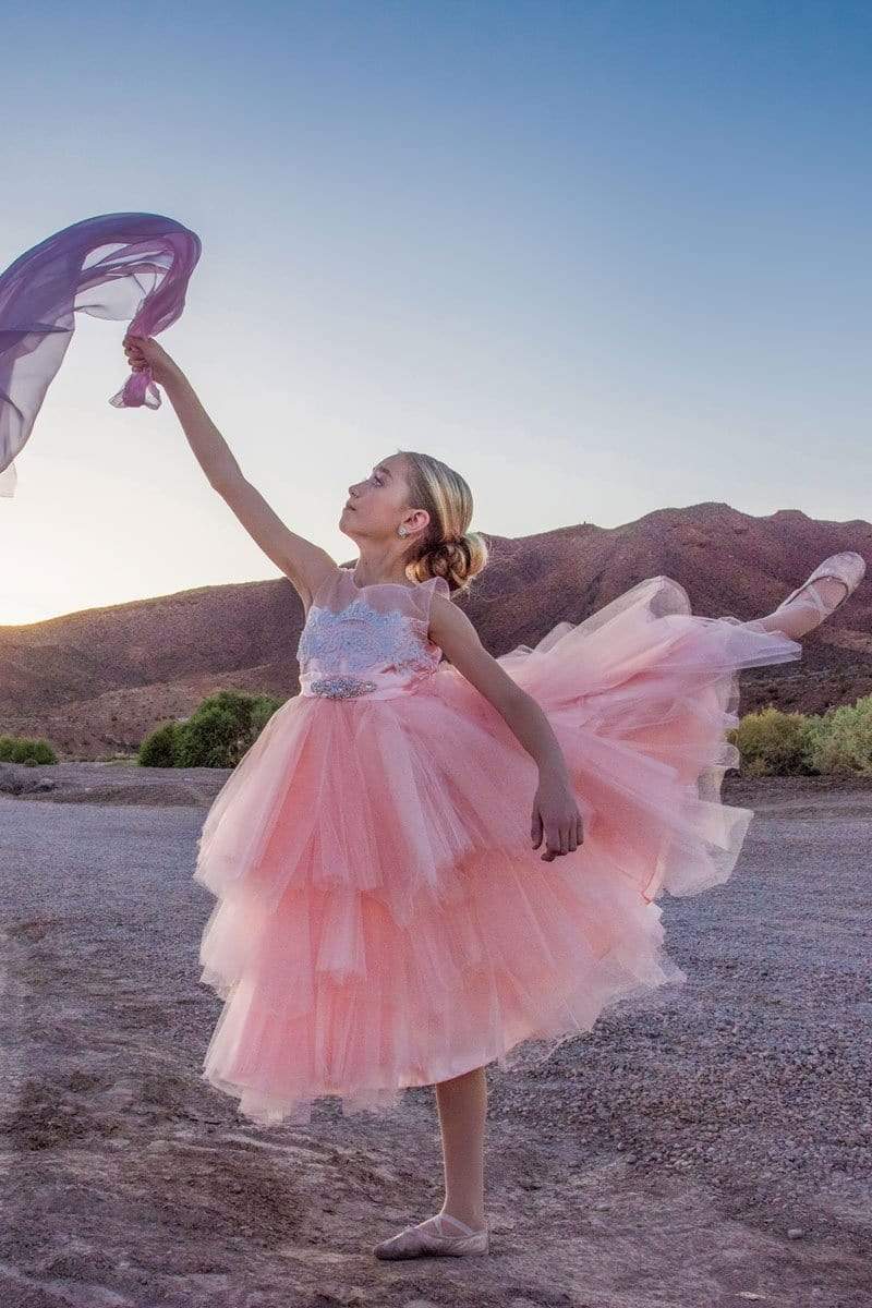 Buy Fancy Blush Pink Flower Girl Dresses | Shop Online at Petite Adele